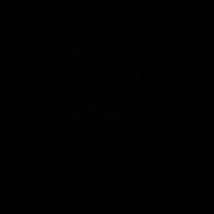 Meet your Posher, Jace